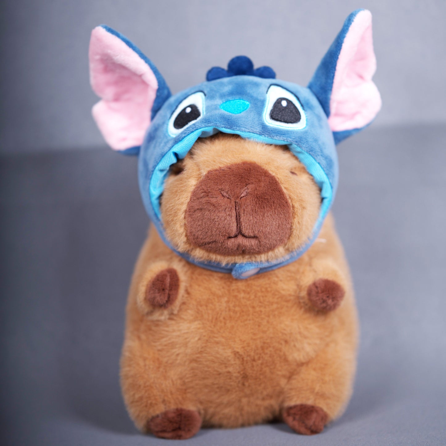 Capibara Stich